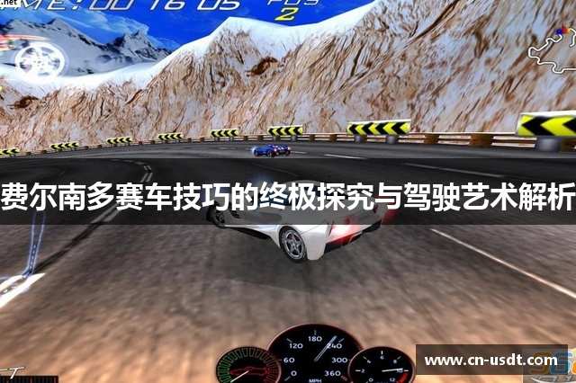费尔南多赛车技巧的终极探究与驾驶艺术解析