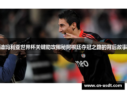 迪玛利亚世界杯关键助攻揭秘阿根廷夺冠之路的背后故事