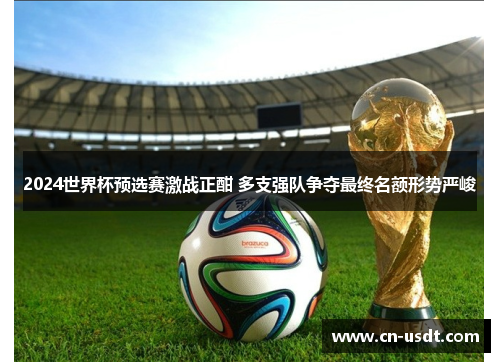 2024世界杯预选赛激战正酣 多支强队争夺最终名额形势严峻 2024世界杯预选赛激战正酣 多支强队争夺最终名额形势严峻