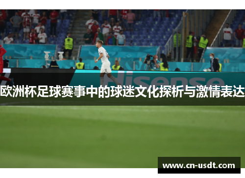 欧洲杯足球赛事中的球迷文化探析与激情表达 欧洲杯足球赛事中的球迷文化探析与激情表达